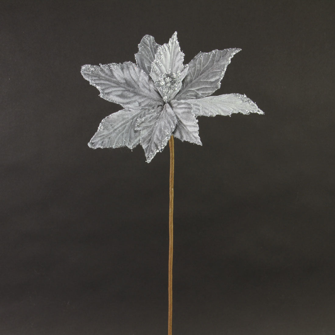 25.2"SILVER POINSETTIA A25