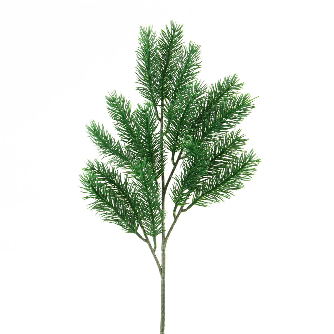 20.9"PINE SPRAY