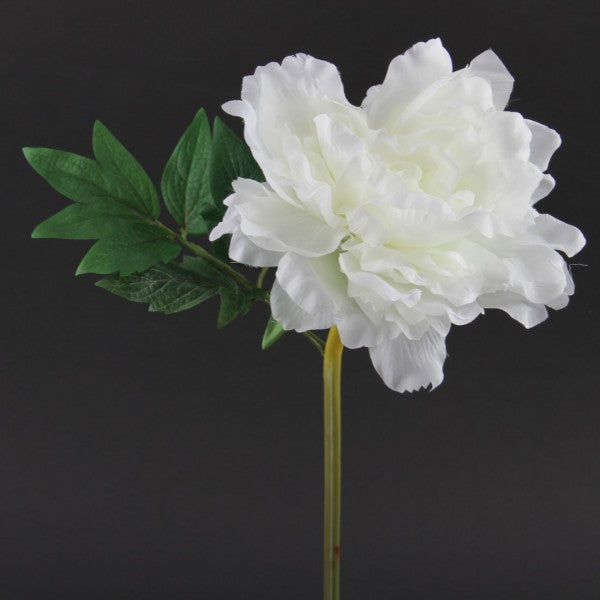 14"PEONY WHITE