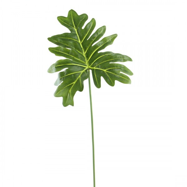 SELLOM LEAF