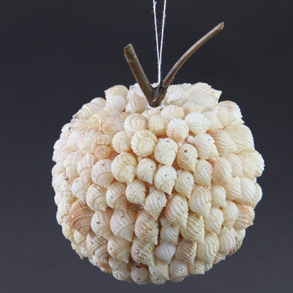 3.5" SHELL APPLE A4