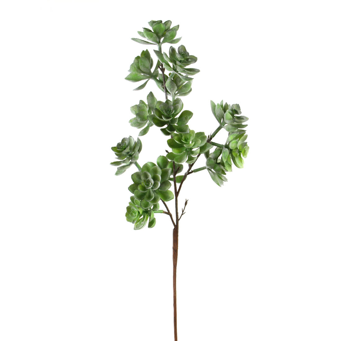 27''SUCCULENT STEM