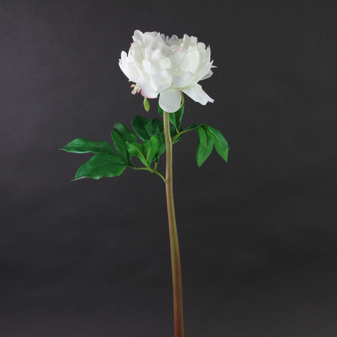 23"UV PEONY WHITE