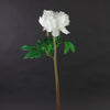 23"UV PEONY WHITE