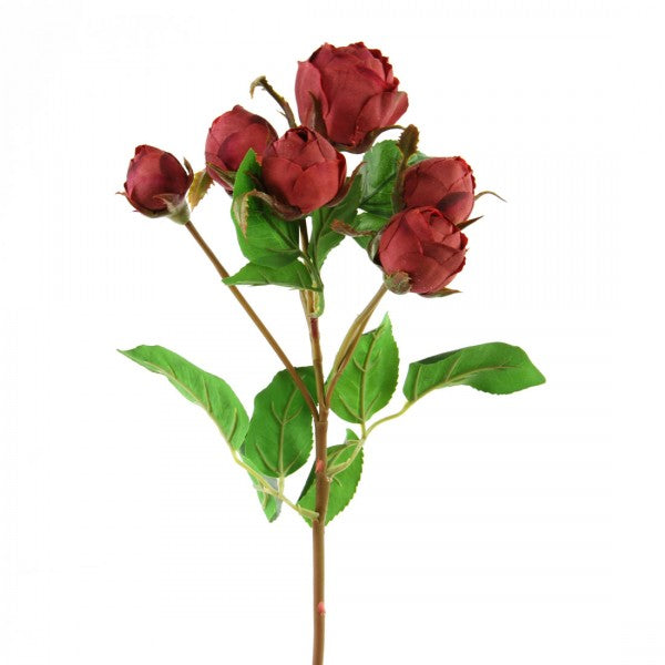 22" ENGLISH ROSE BUDS X6