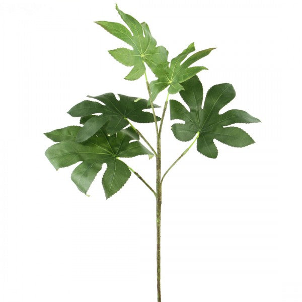 25" FATISIA LEAF SPRAY