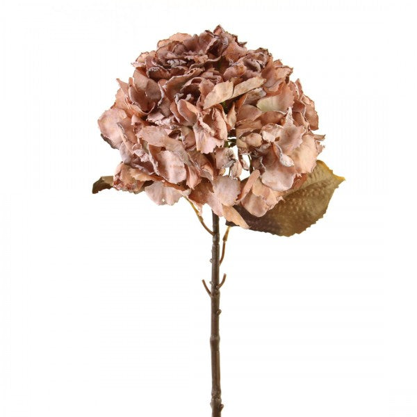 25"DRIED HYDRANGEA SPRAY