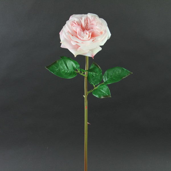 24"GARDEN ROSE STEM