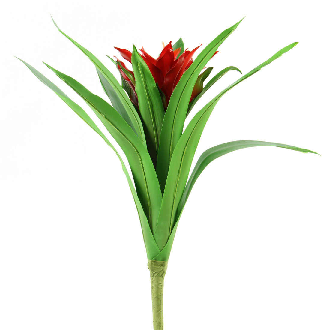 22"UV BROMELIAD RED