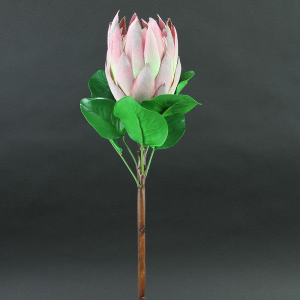 26" KING PROTEA MAUVE
