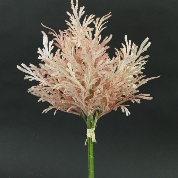 15.5"STAGHORN PINK