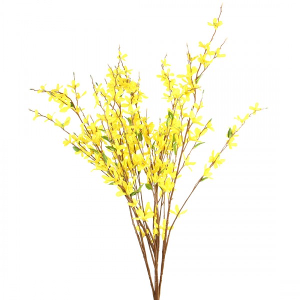34" FORSYTHIA BUNCH
