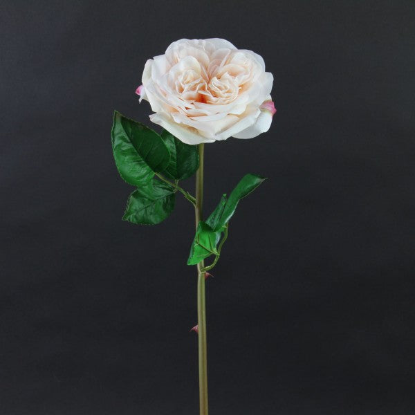 24"GARDEN ROSE STEM