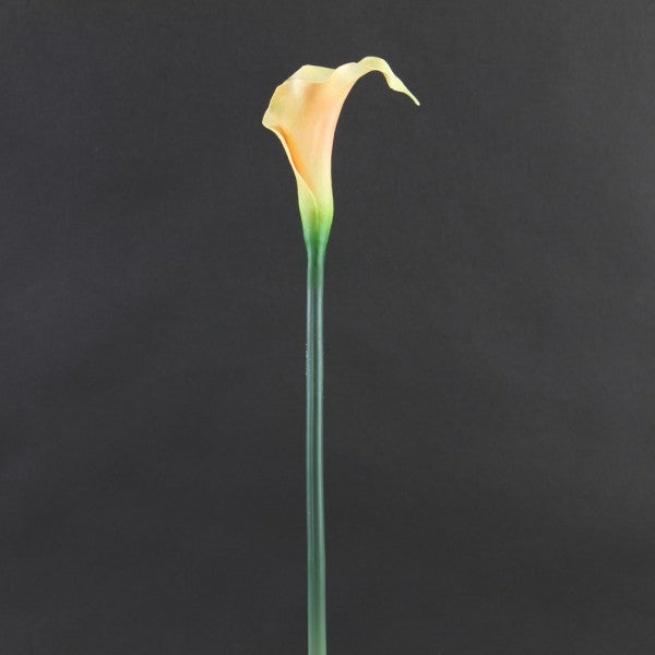 22"SM.CALLA LILY SPRAY A4