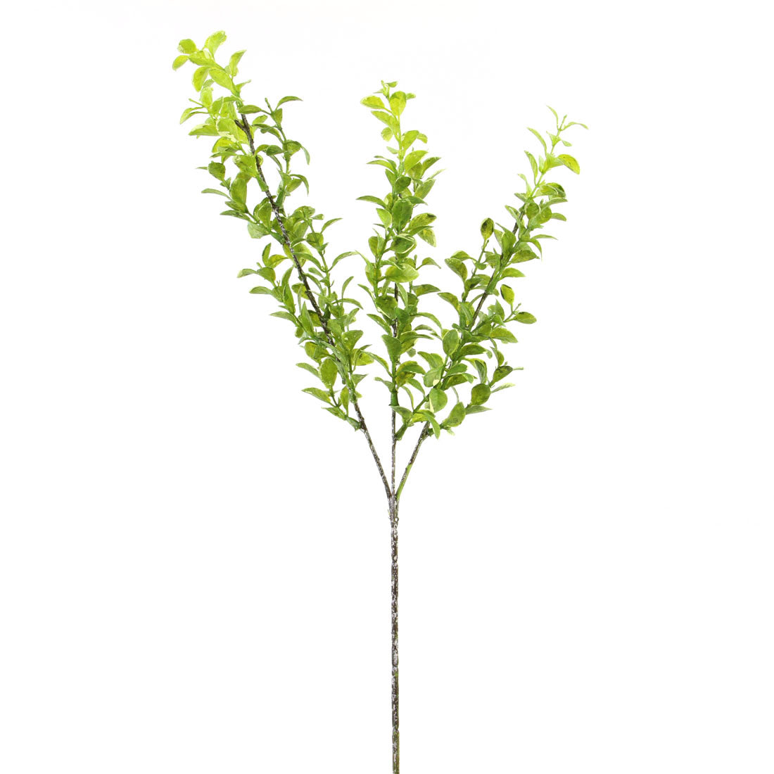 27"MYRTLE SPRAY GREEN/YELLOW