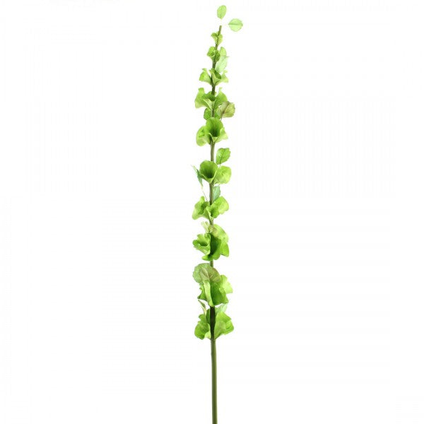43" BELLS OF IRELAND GREEN