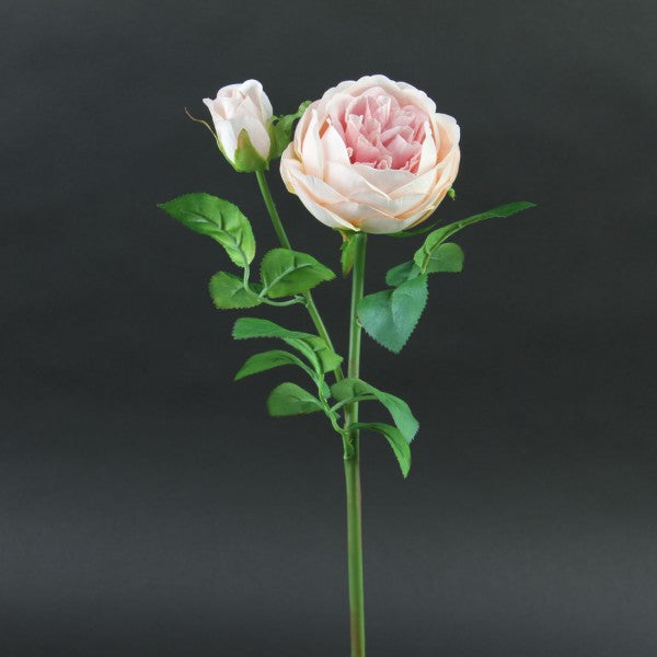 18.9 INCH AUSTIN ROSE SPRAY