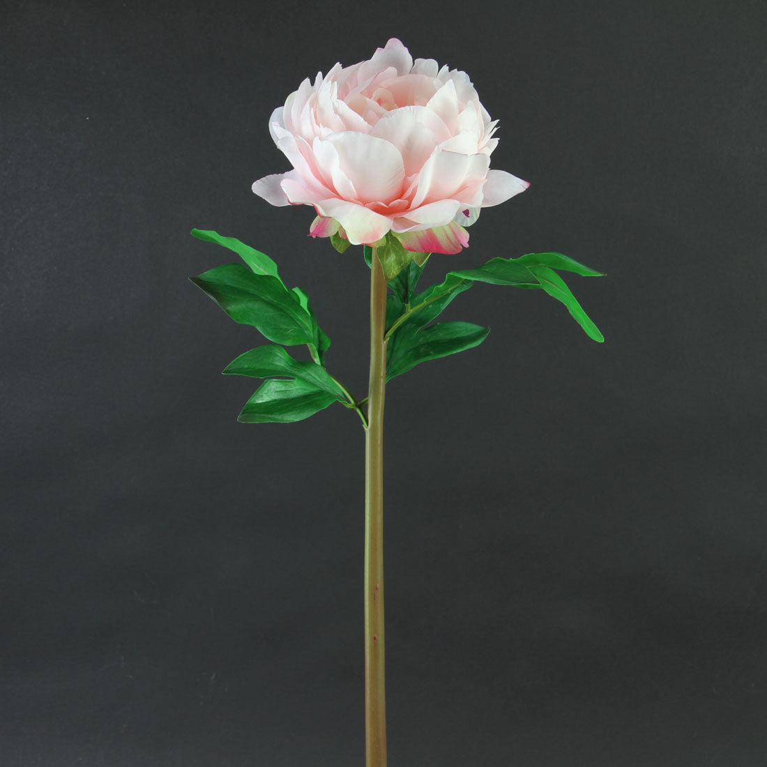 23"UV PEONY LT.PINK