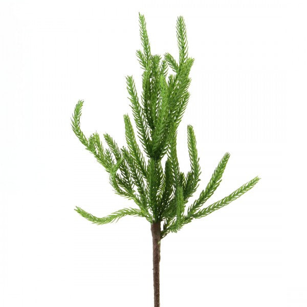 16"FIR PINE PICK