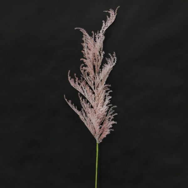 69"PAMPAS GRASS STEM PINK