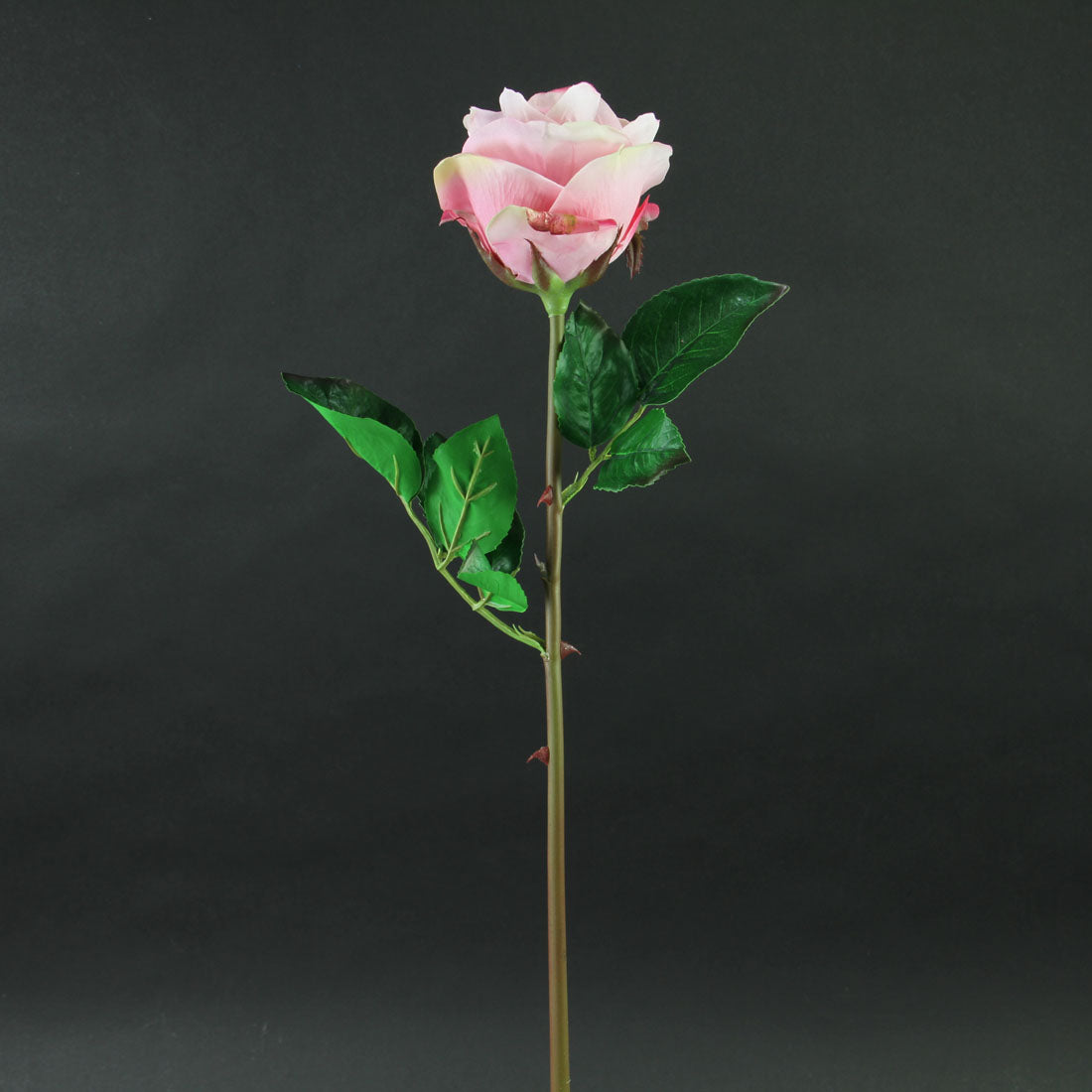 25"OPEN ROSE STEM PINK