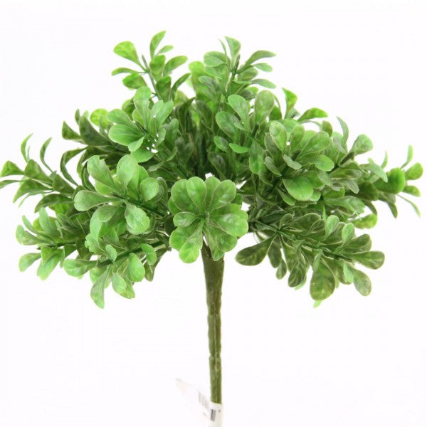 9"BOXWOOD BUSH GREEN