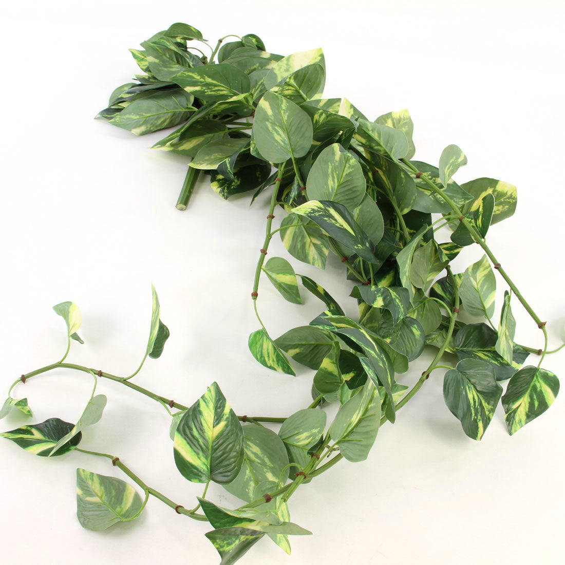 46"UV POTHOS BUSH