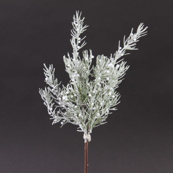 15"FRSTD.PINE WHITE