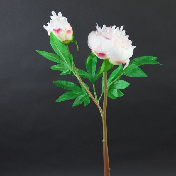 26"RUFFLE PEONY X1