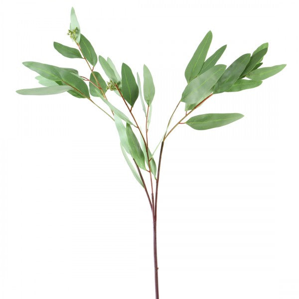 34"LONG LF EUCALYPTUS SPRAY