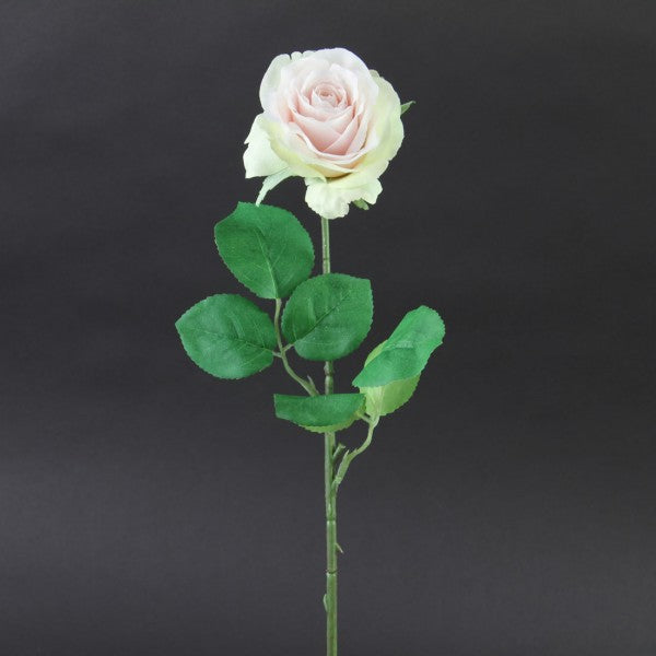 17"SM.ROSE STEM BLUSH