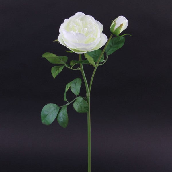 18.9 INCH AUSTIN ROSE SPRAY