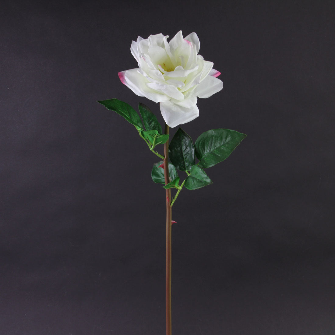 26"OPEN ROSE STEM CREAM/WHITE
