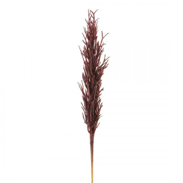 32.5"DRIED REED SPRAY A4