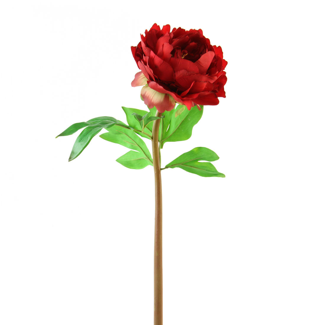 23"UV PEONY RED