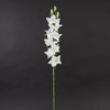 27" DENDROBIUM ORCHID