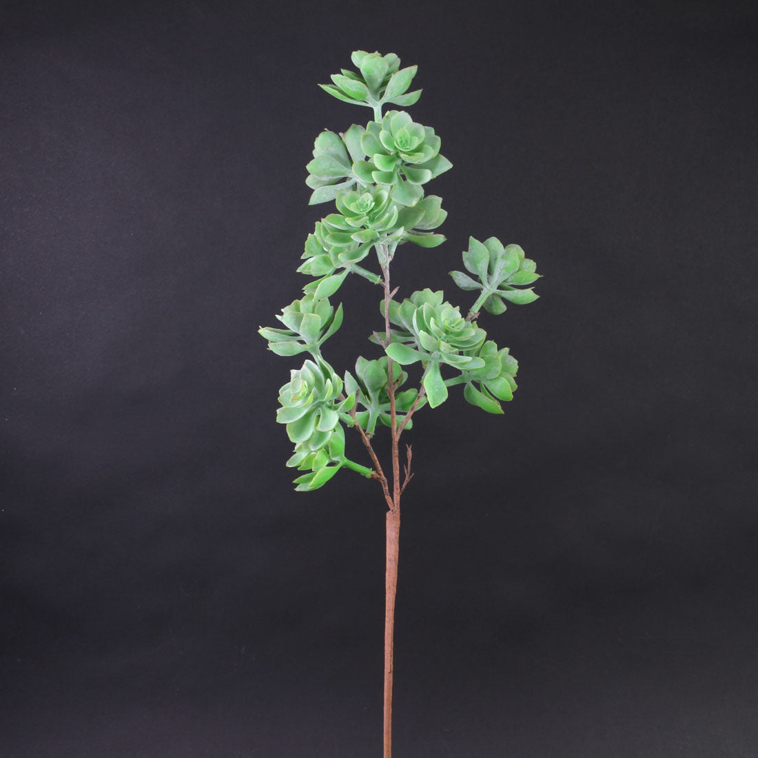 27"SUCCULENT STEM SAGE