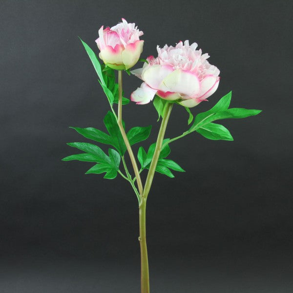 26"RUFFLED PEONY X1