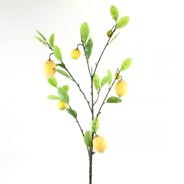 40" LEMON BRANCH