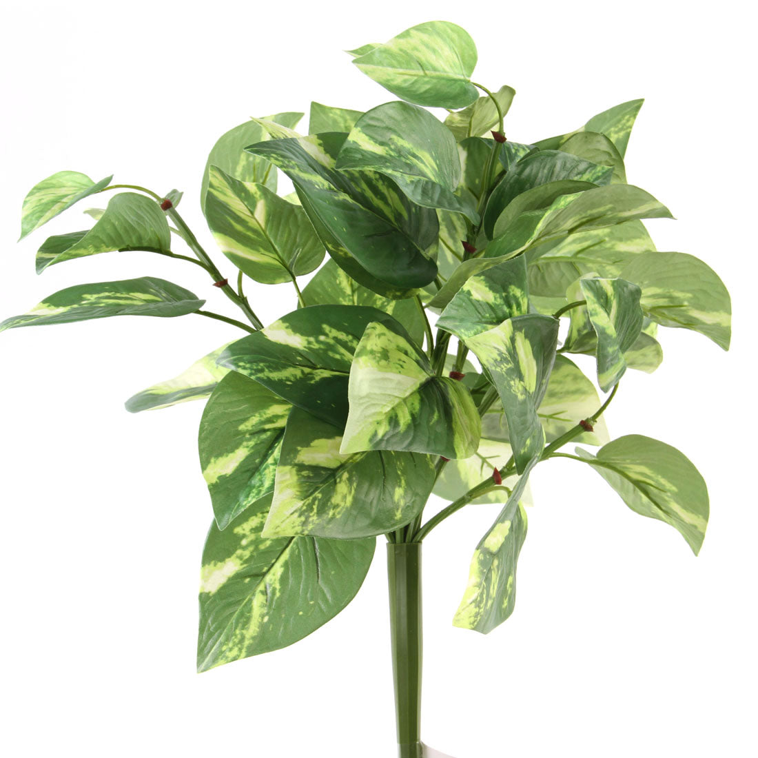 17"UV POTHOS BUSH