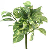 17"UV POTHOS BUSH