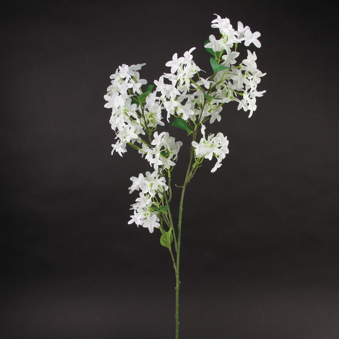 35" WILD LILAC SPRAY WHITE