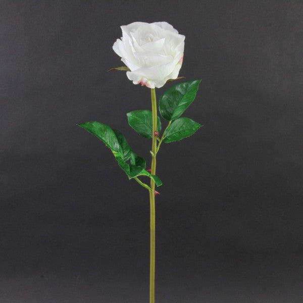 25"OPEN BEAUTY ROSE STEM