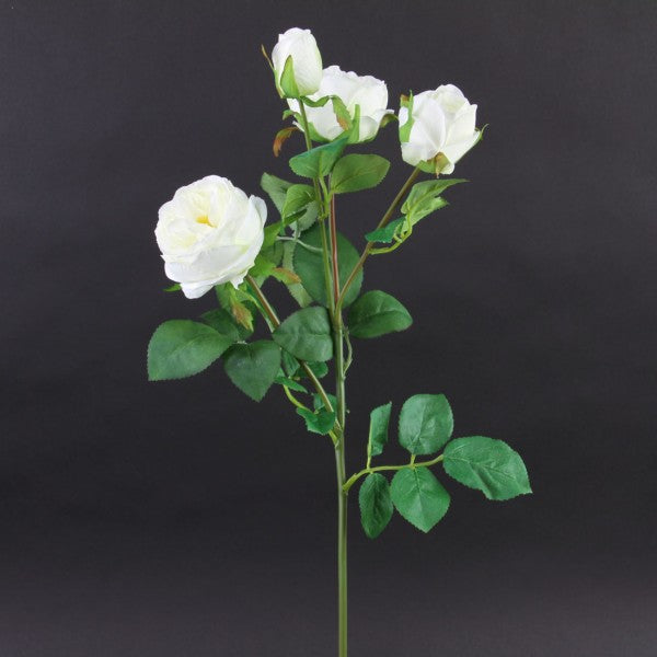 28"CABBAGE ROSE SPRAY