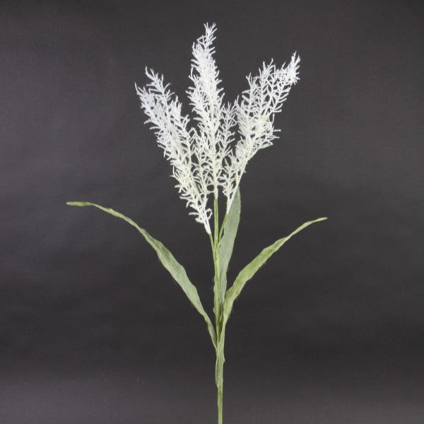 32"PAMPAS SPRAY CREAM/WHT