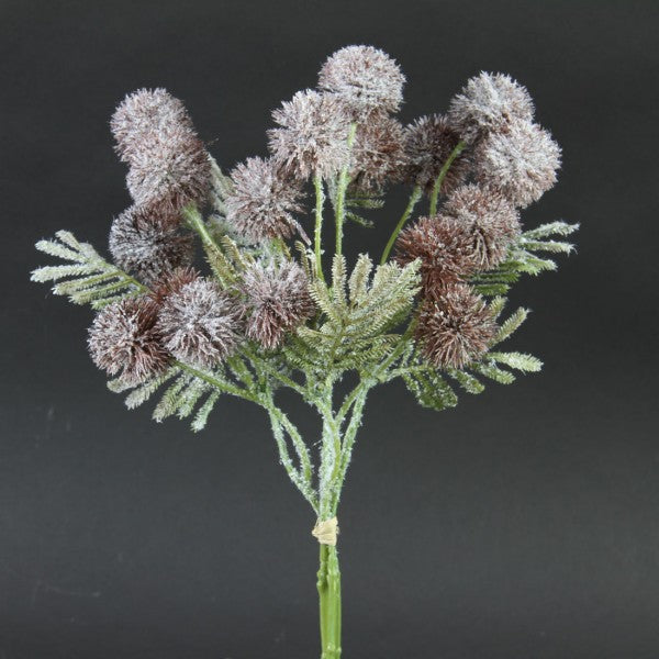 12"GLOBE THISTLE BURGUNDY