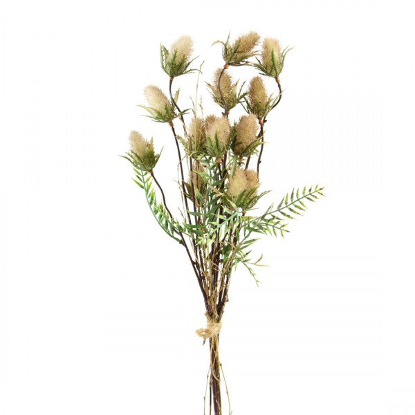 23'' PUSSY WILLOW