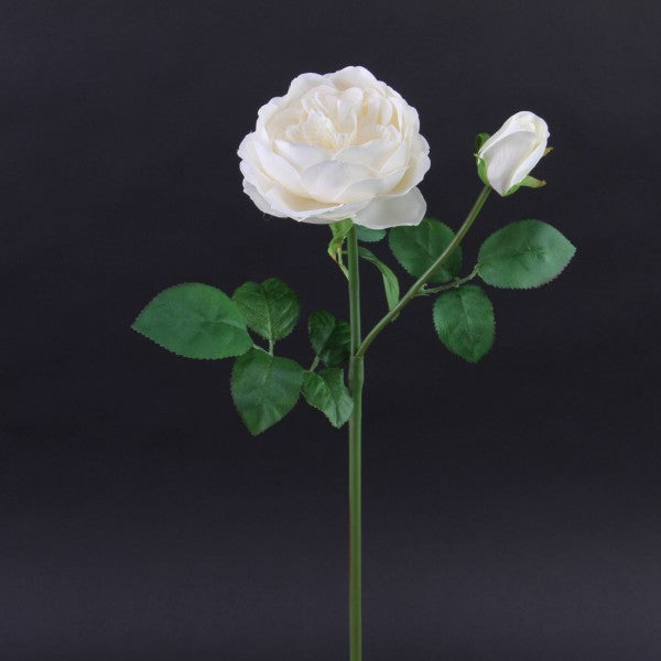 18.9 INCH AUSTIN ROSE SPRAY