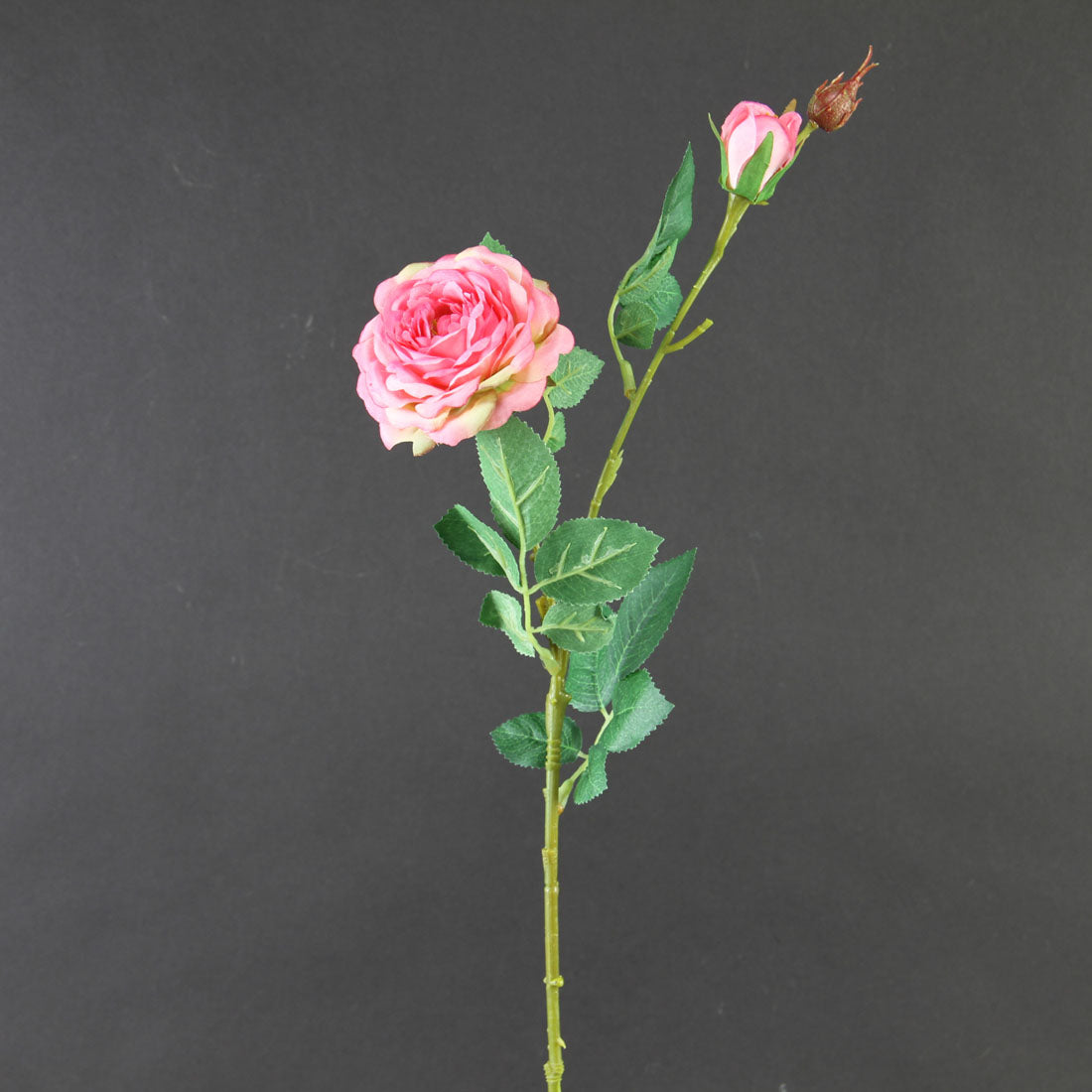 24" ROSE SPRAY
