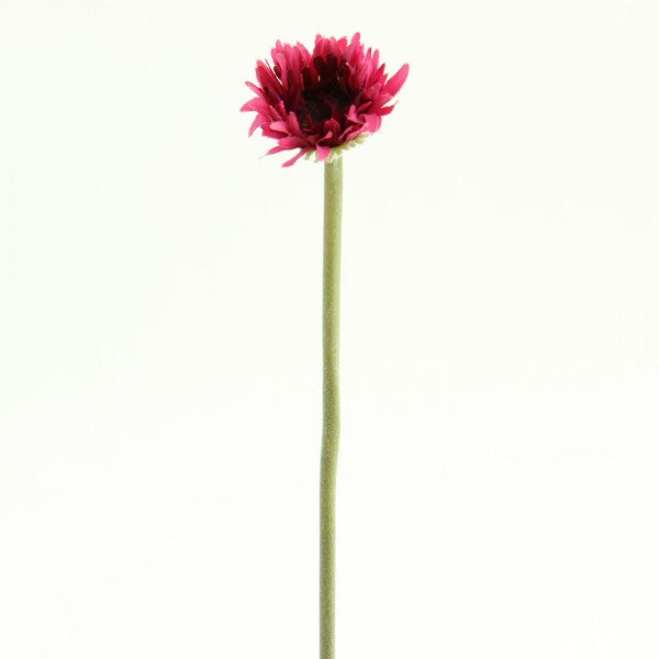 12"MINI SPIDER GERBERA A4